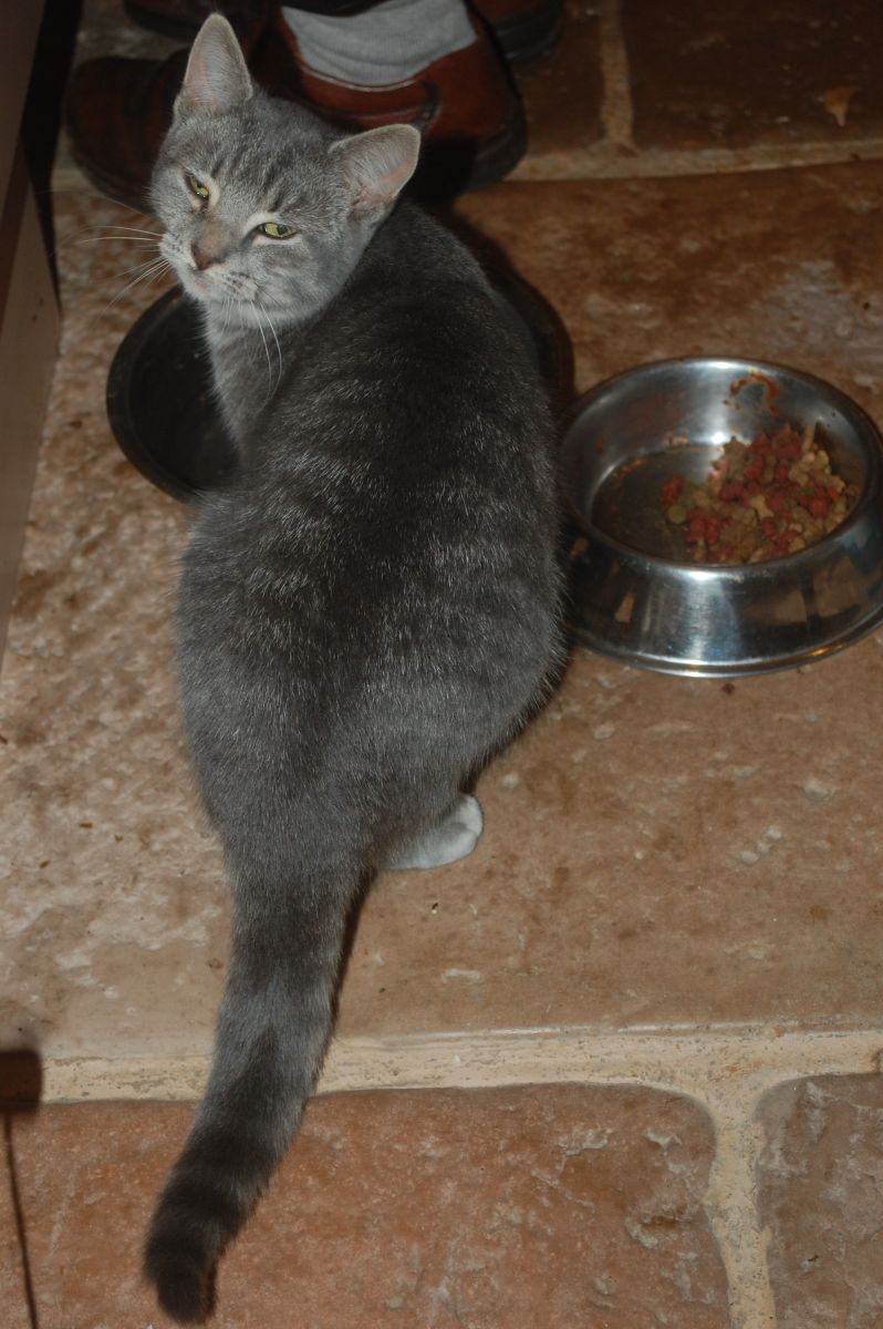 This is picture 1